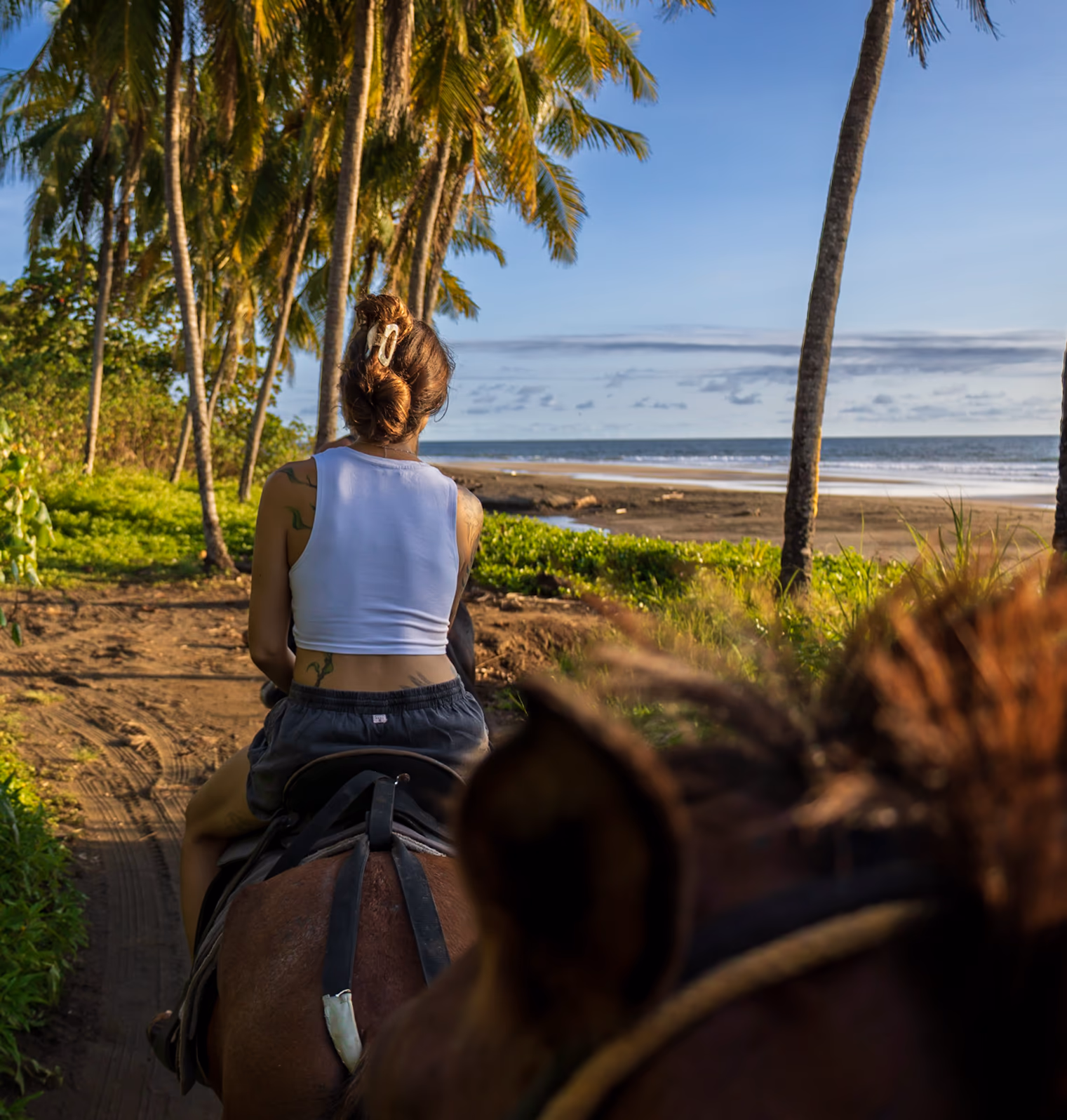 Horseback Riding