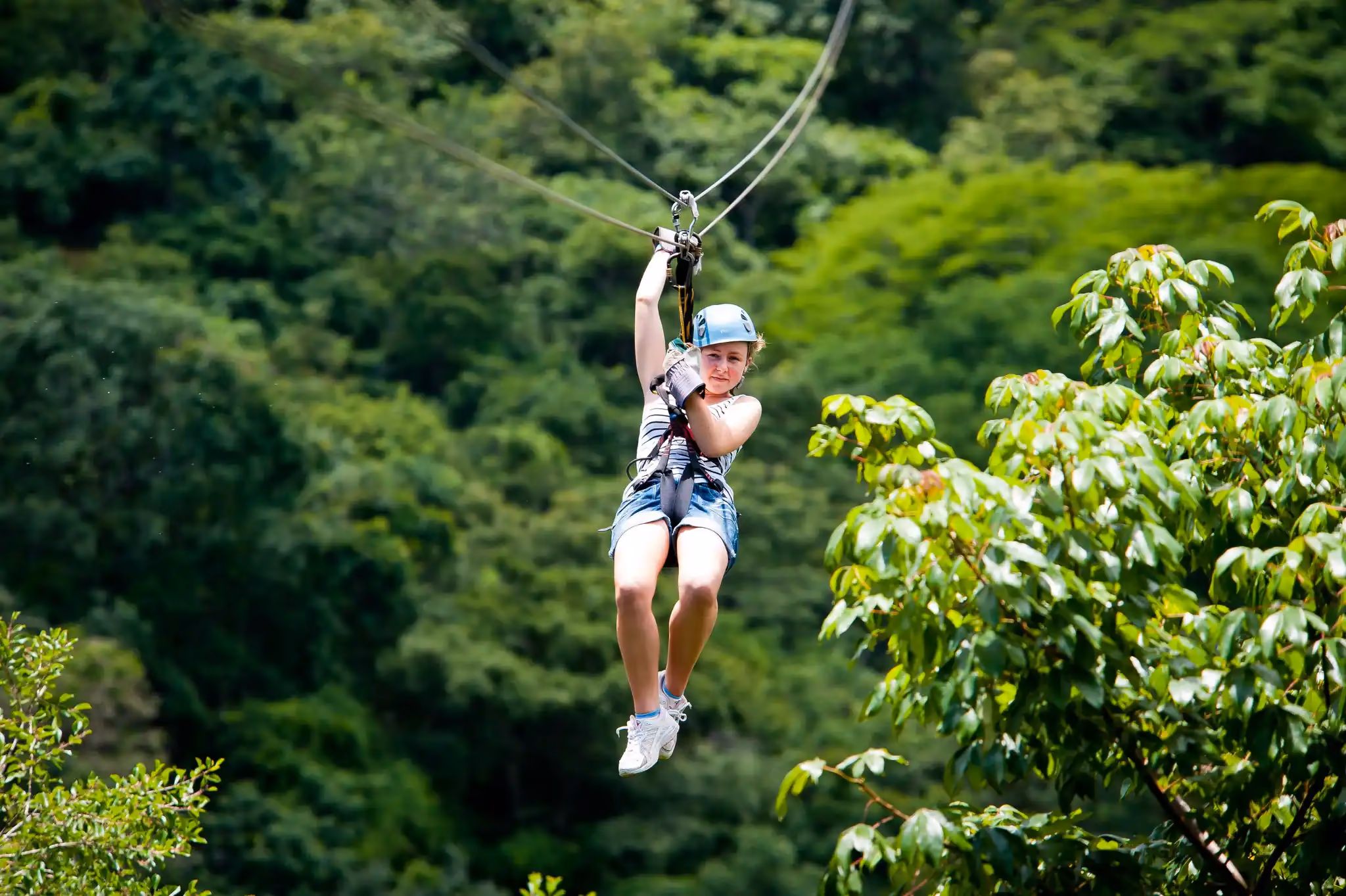 Canopy / Zip-lining