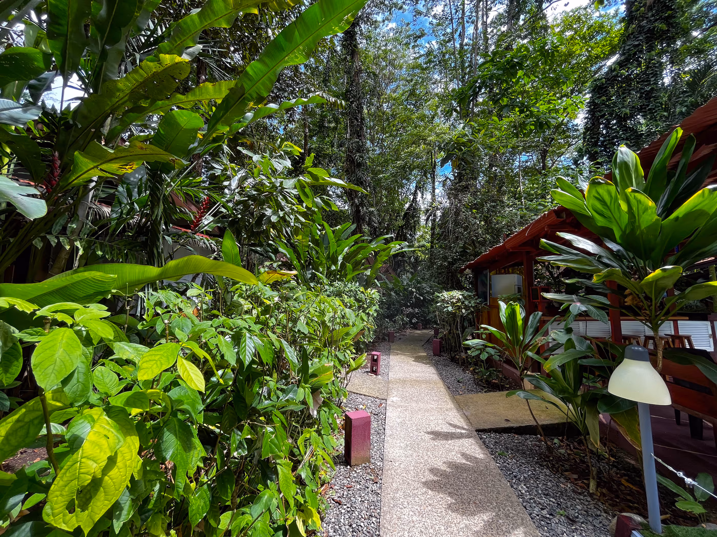 Cahuita National Park 1