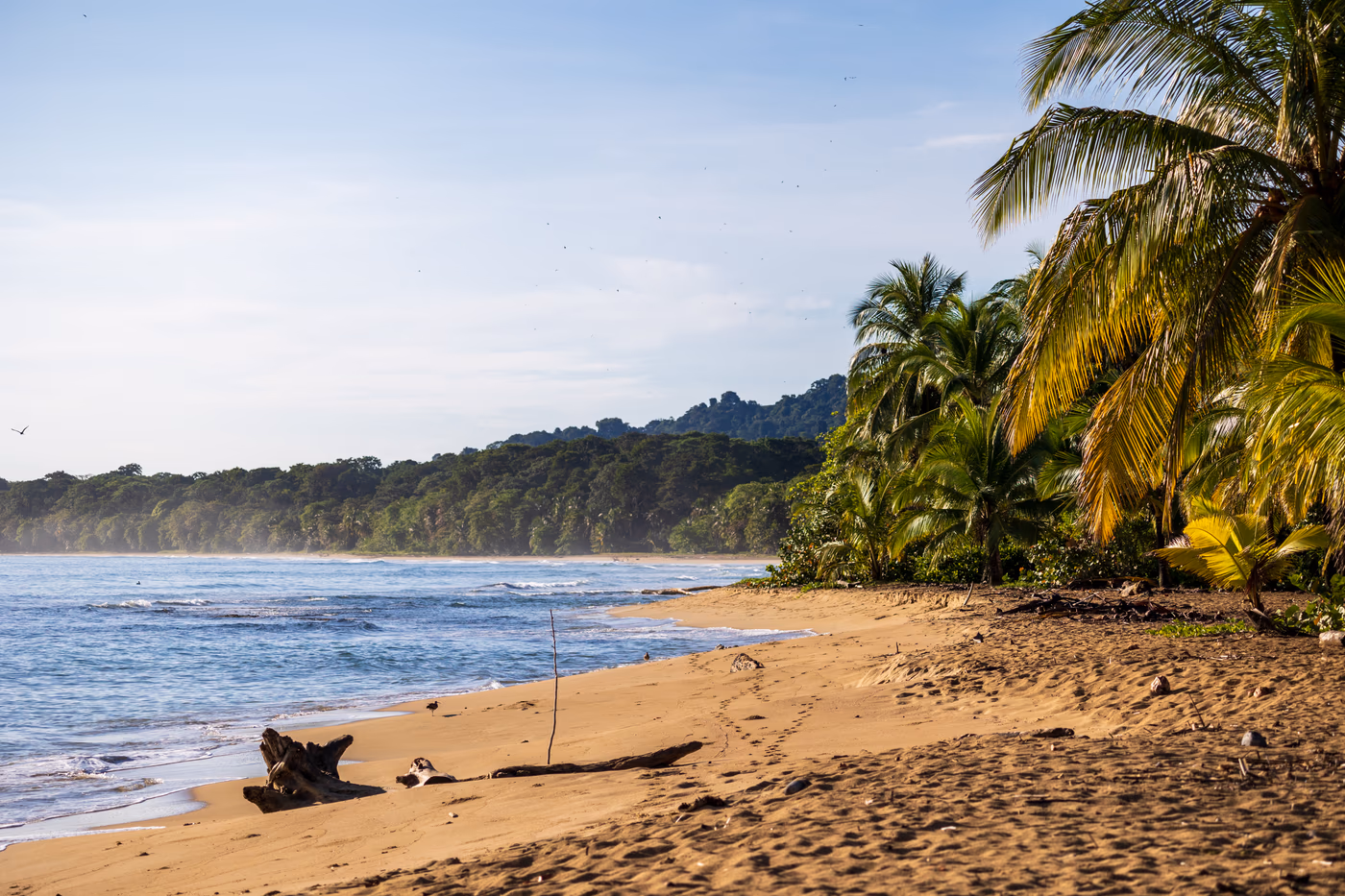 Caribbean beach with palm trees near Puerto Viejo, Costa Rica