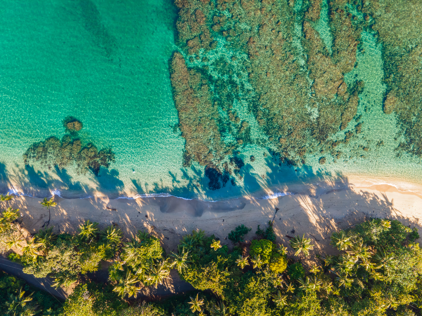 Pristine Caribbean beach surrounded by jungle