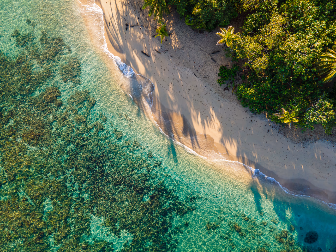 Aerial panoramic of Caribbean coast