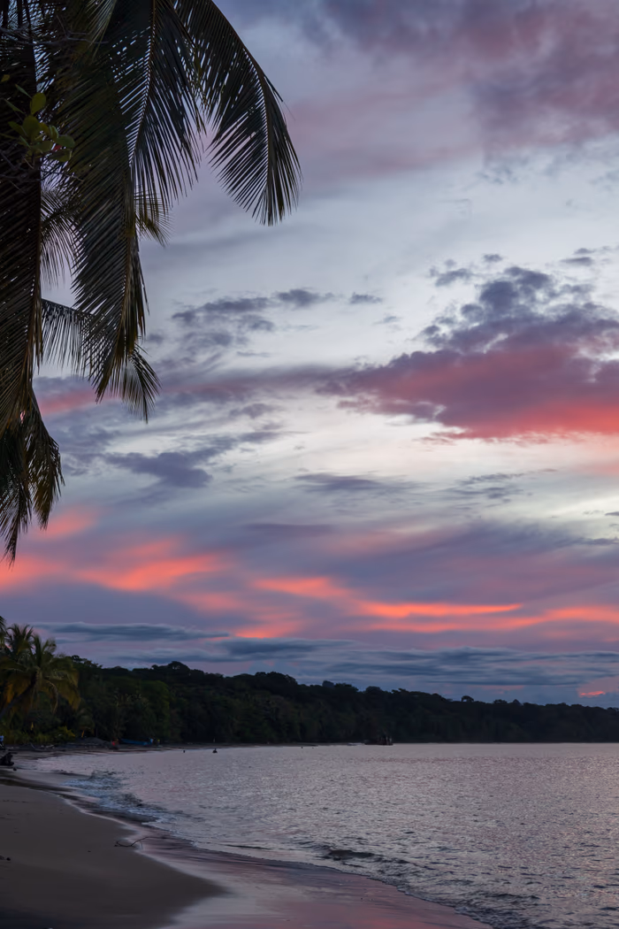 Coral reef and snorkeling 2