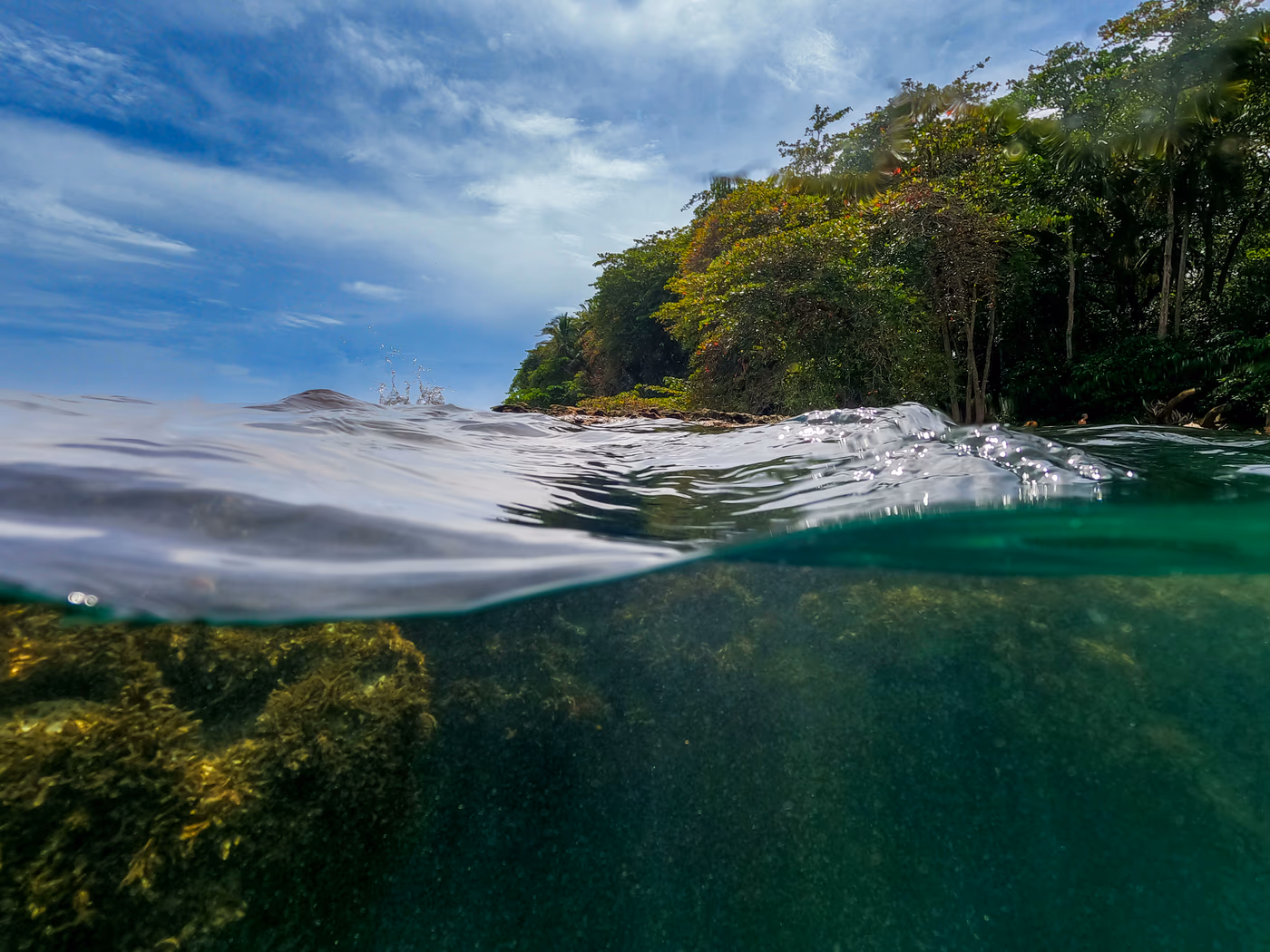 Coral reef and snorkeling 5